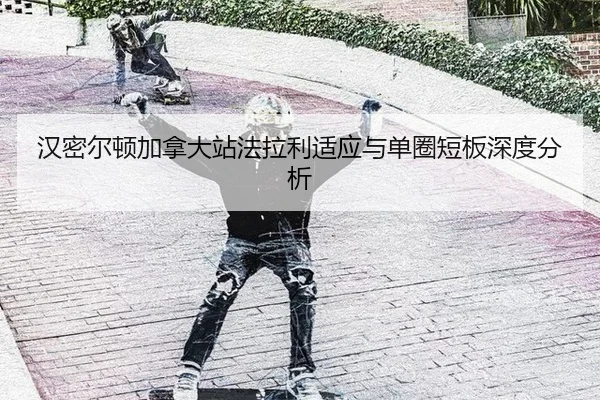 han-mi-er-dun-jia-na-da-zhan-fa-la-li-shi-ying-yu-dan-quan-duan-ban-shen-du-fen-xi-2-685.jpg